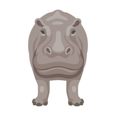 Hippo looks straight ahead cartoon illustration. African animal sitting, swimming in lake or river and standing on white background