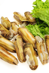 Razor clams isolated on white background.