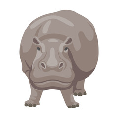 Hippo cartoon illustration. African animal sitting, swimming in lake or river and standing on white background
