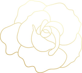 Gold rose flower illustration