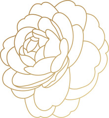 Gold rose flower