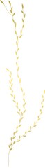 Gold leaf branch illustration