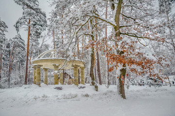 Snow-covered trees against the background of the gazebo and the forest