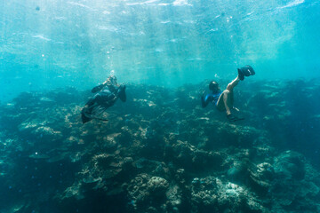 Naklejka na ściany i meble Two Snorkelers in coral bay western australia