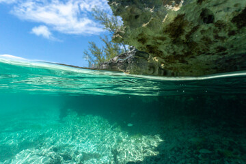 Fototapeta na wymiar Bahamas split shot on waters edge with torquise water
