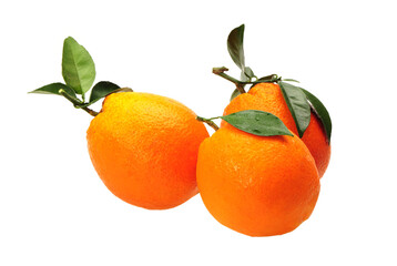 Orange fruit on the white background