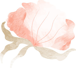 Pink watercolor flower illustration
