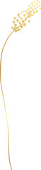 Gold wildflower illustration
