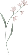Watercolor flower illustration