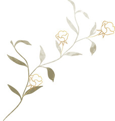 Watercolor flower illustration