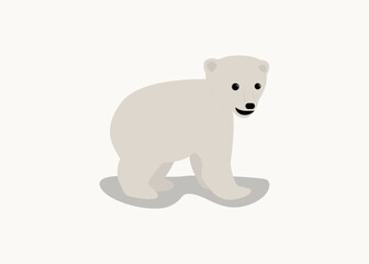 cute little polar bear