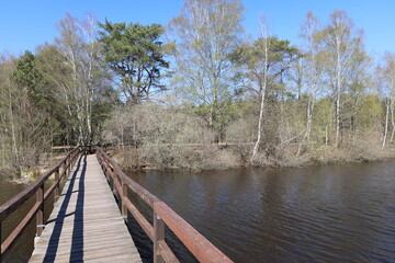 Blick auf die Thülsfelder Talsperre im Oldenburger Münsterland