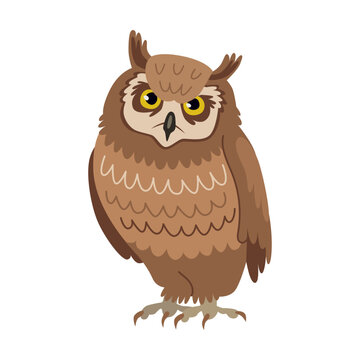 Horned owl cartoon illustration. Predatory bird or beautiful flying creatures isolated on white background