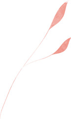 Watercolor leaf branch illustration