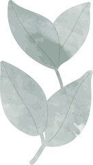 Watercolor leaf branch illustration