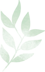 Watercolor leaf branch illustration