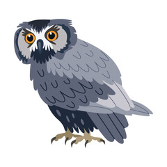 Owl cartoon illustration. Predatory bird or beautiful flying creatures isolated on white background