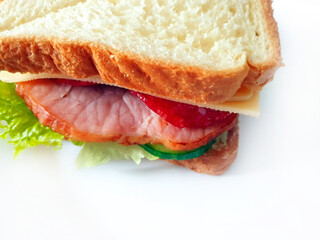 Appetizing toast sandwich with herbs and cold cuts, cheese and cucumber, on a white plate.	
