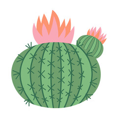 Round blossoming cactus vector illustration. Cacti, spiny tropical plant with flowers or blossoms, Arizona or Mexico succulents isolated on white