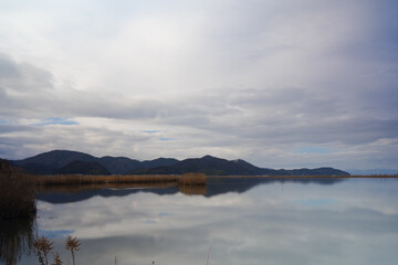 Obraz premium Cold midwinter overcast, large lake and reeds