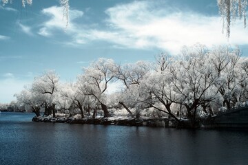 Winter landscape of snow-covered trees around a lake, part of the Summer Palace ensemble in Beijing