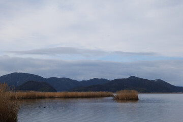 Cold midwinter overcast, large lake and reeds