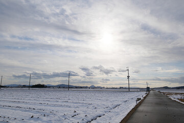 A field of snow in midwinter, a straight stretch of doro