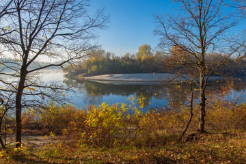 Fototapeta premium october landscape with trees