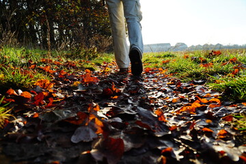 Obraz premium Shadows of woman's foot on the road with bright fallen autumn leaves