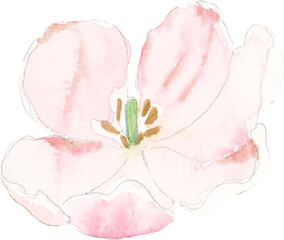 Watercolor flower