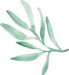 Obraz premium Watercolor leaf 