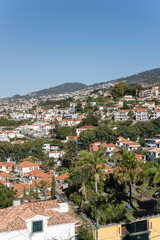 Fototapeta na wymiar aerial cityscape of historical town with lush vegetation among houses on hills, Funchal, Madeira