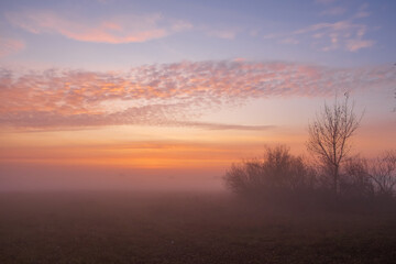 Obraz na płótnie Canvas sunrise over the field