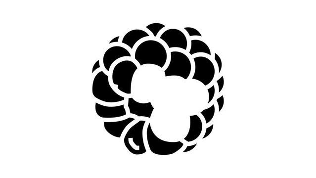 delicious blackberry glyph icon animation