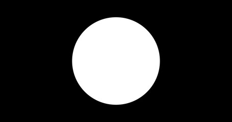 black and white sphere