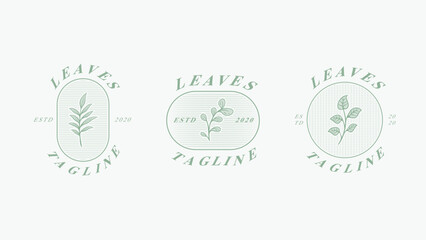 Set of natural plant logo template