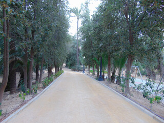 road in the park