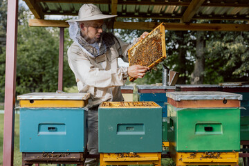 Wide photo horizontal of handsome serious beekeeper man wearing beekeeper suit standing behind beehives holding frame with honeycomb and bees in hands showing at camera in countryside.