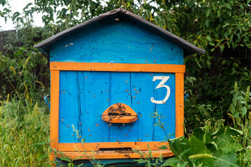 Beehive blue yellow color in green garden.