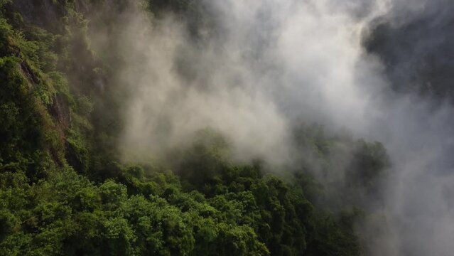 Dramatic misty green forest aerial top down view. Morning mysterious fog flow over wood and rock stone