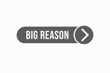 big reason button vectors. sign  label speech bubble big reason
