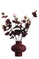 A bunch of dried dark flowers in a burgundy vase isolated on a white background. Simple and minimal home decoration.