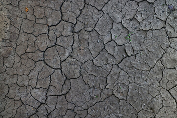 cracks on the ground desert texture background earth climate ecology