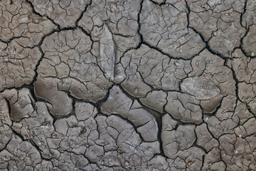 cracks on the ground desert texture background earth climate ecology