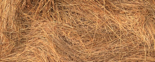 background texture straw yellow nature ornament