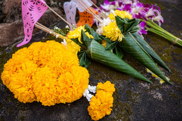 Gelbe Gebetsblumen in Thailand