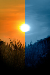 World environment day concept Sunset and sunrise comparison. Calm of country meadow sunrise landscape background