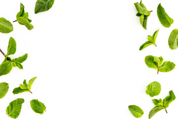 Frame of green mint leaves, top view. Aroma herbs background