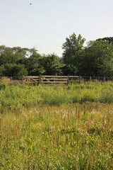 Fototapeta na wymiar Typical wooden farm fence surrounding the overgrown pasture.