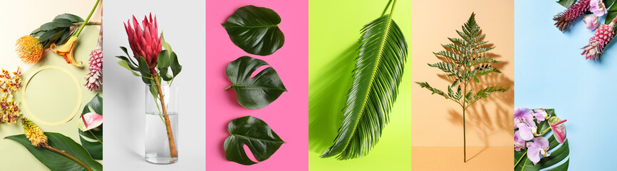 Fototapeta na wymiar Collage of fresh tropical leaves and flowers on color background